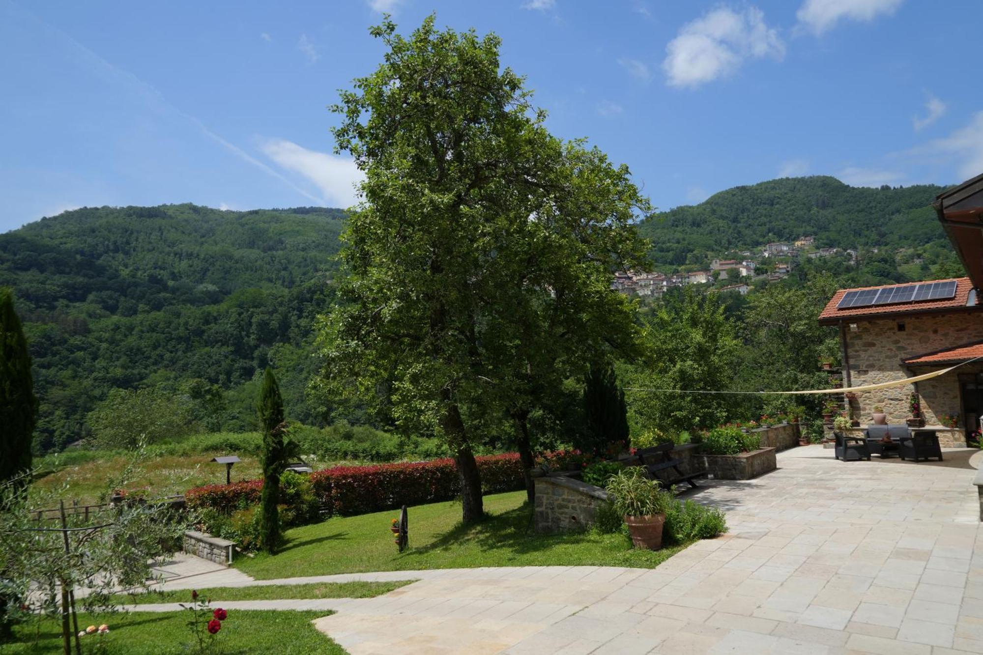 Il paradiso delle beccacce Popiglio Esterno foto